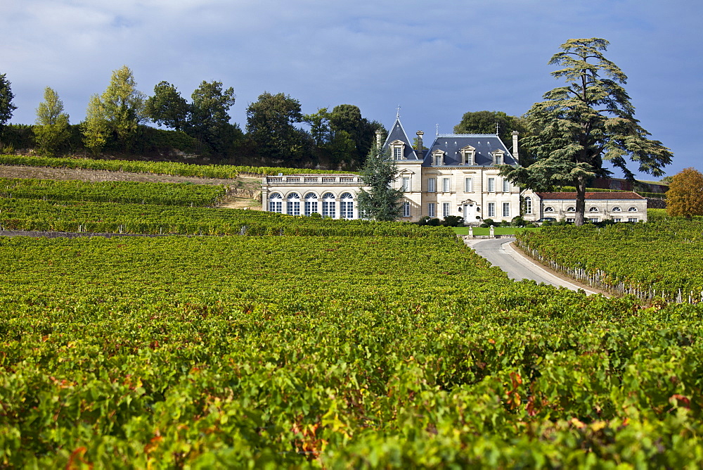 Chateau Fonplegade in the town of St Emilion, Bordeaux, France