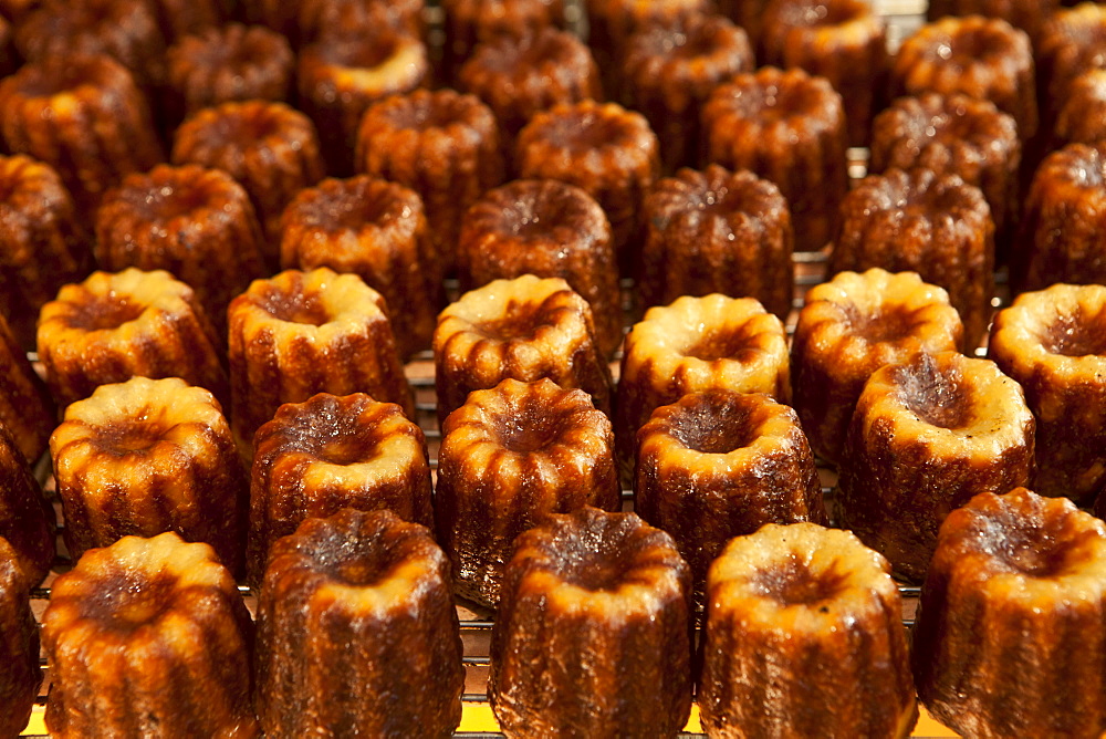 Local speciality cakes, caneles, on sale in patisserie in St Emilion, Bordeaux, France