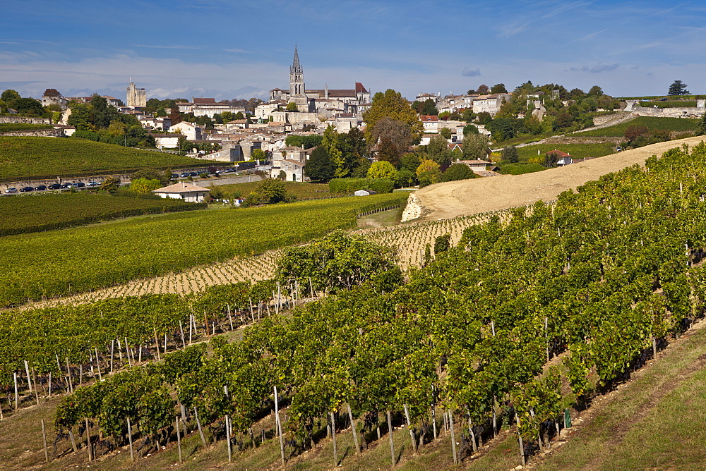 St Emilion with vineyard of Mouton Georges grapes in foreground, in the Bordeaux wine region of France