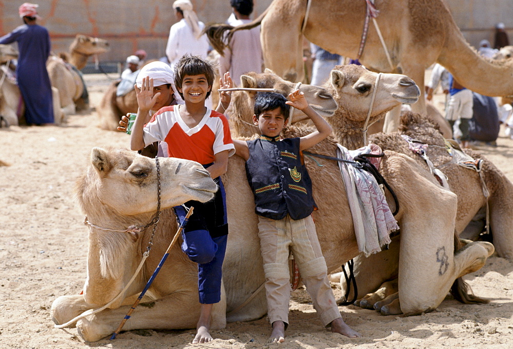 Camel herders and children, at Al Ain Abu Dhabi, United Arab Emirates