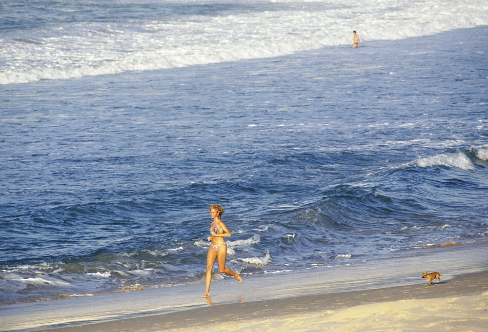 Young woman exercising her chihuahua dog along Bondi Beach, Sydney, Australia