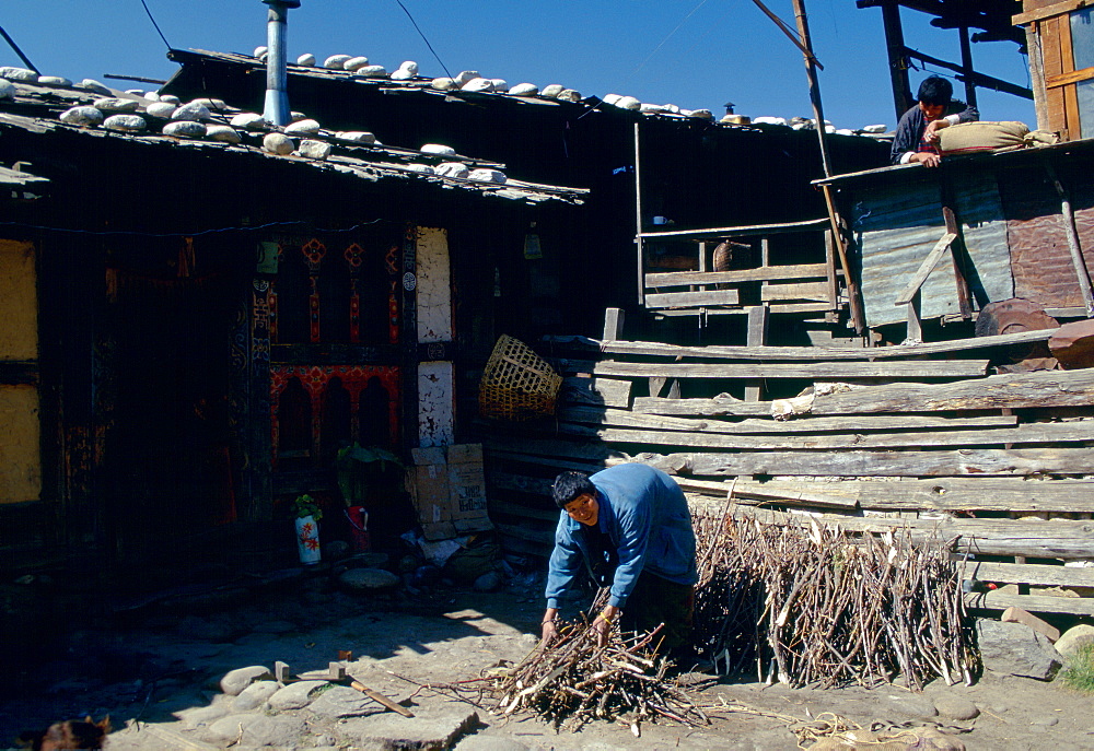 Stacking firewood at home, Paro, Bhutan