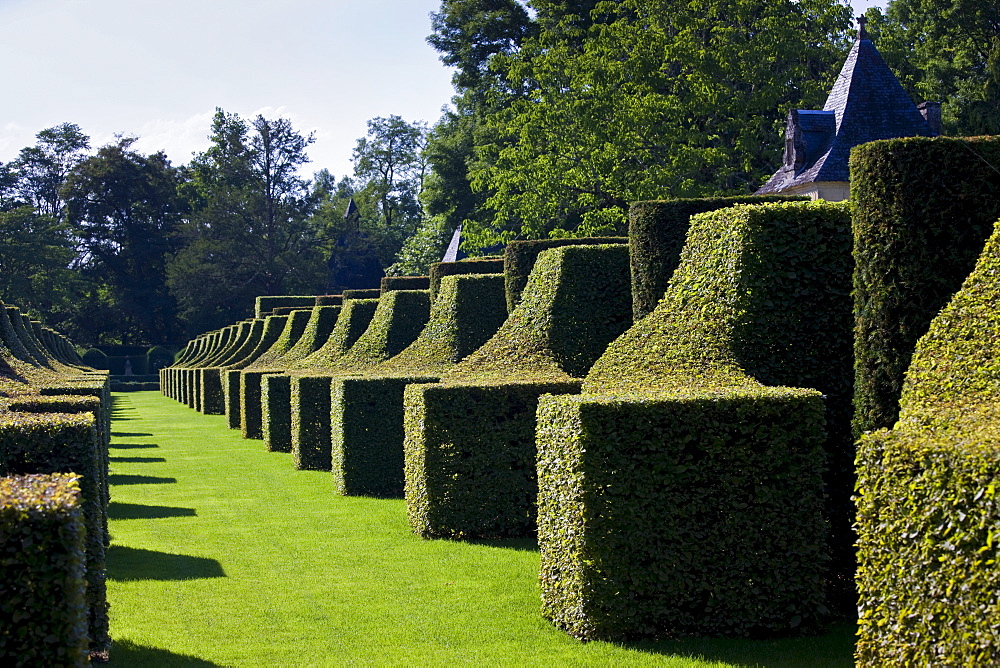 Les Jardins de Manoir d"Eyrignac gardens, the Hornbeam Alley, at Salignac near Sarlat, Dordogne, France