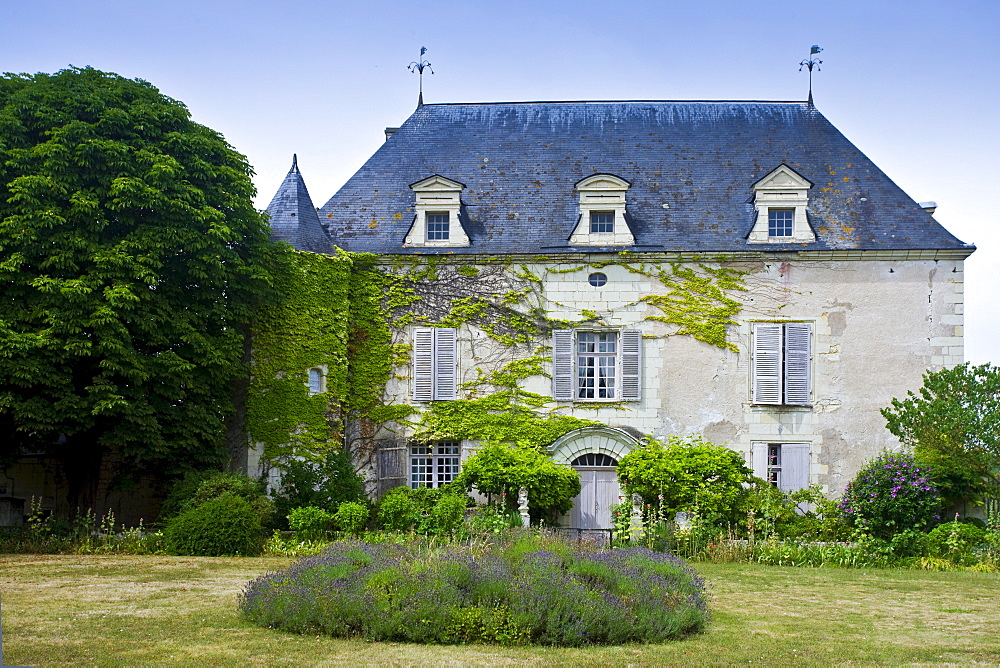 Chateau de Chaintres in Saumur Champigny region of the Loire Valley, France