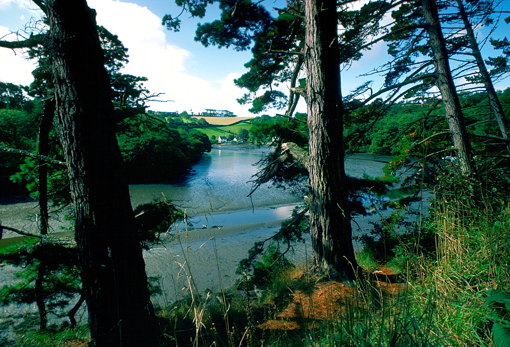 Helford River Estuary, Cornwall,  England