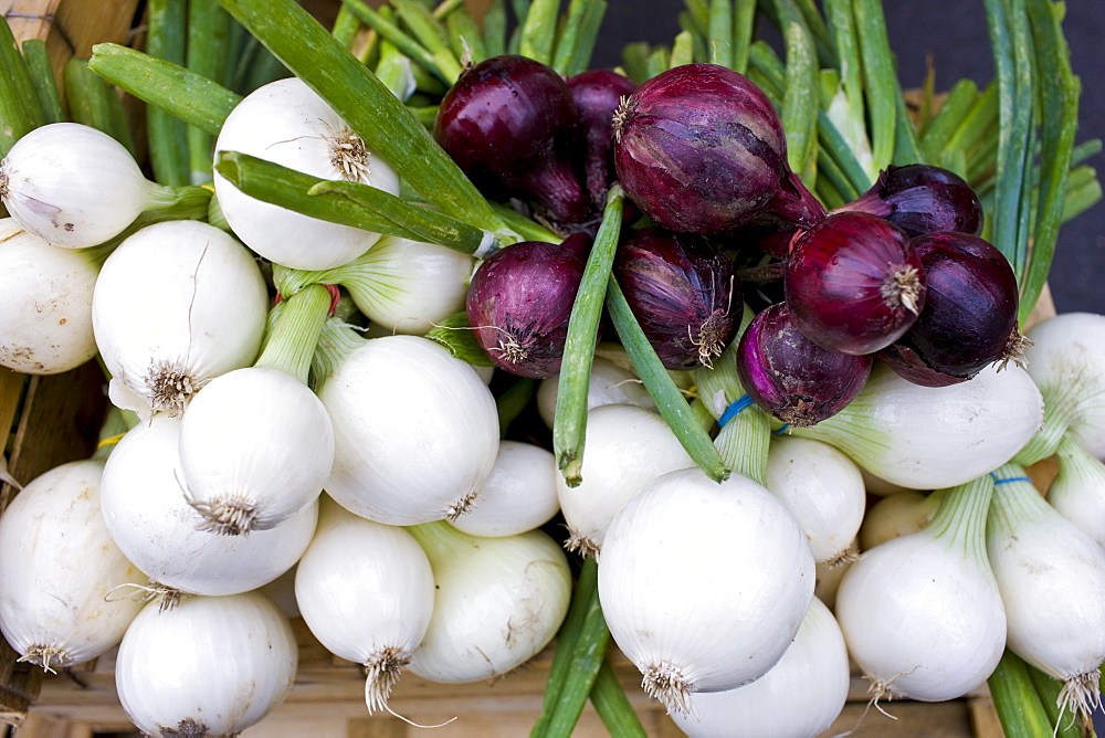 Local produce, spring onions, white and red, at farmers market in Normandy, France