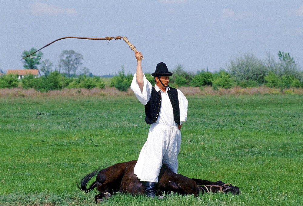 Hungarian Csikos cowboy giving display of horsemanship skills on The Great Plain of Hungary  at Bugac, Hungary