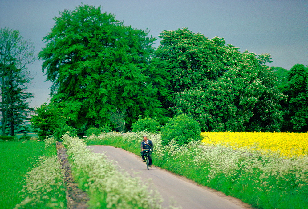 Man cycling along country lane near Coates in Gloucestershire, England