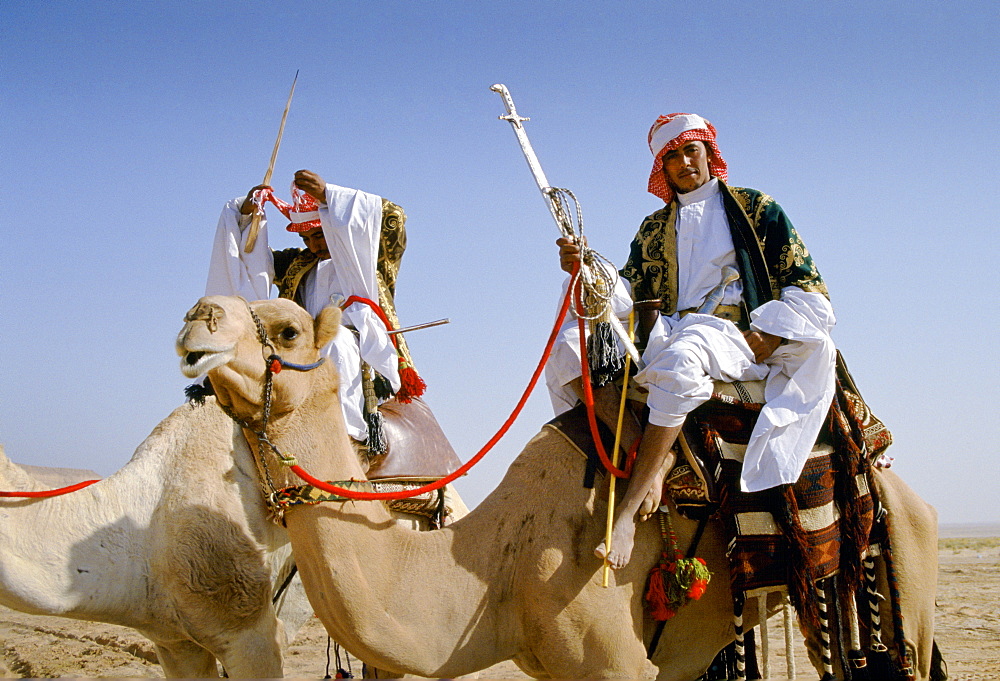 Camels and arab riders in desert Riyadh, Saudi Arabia