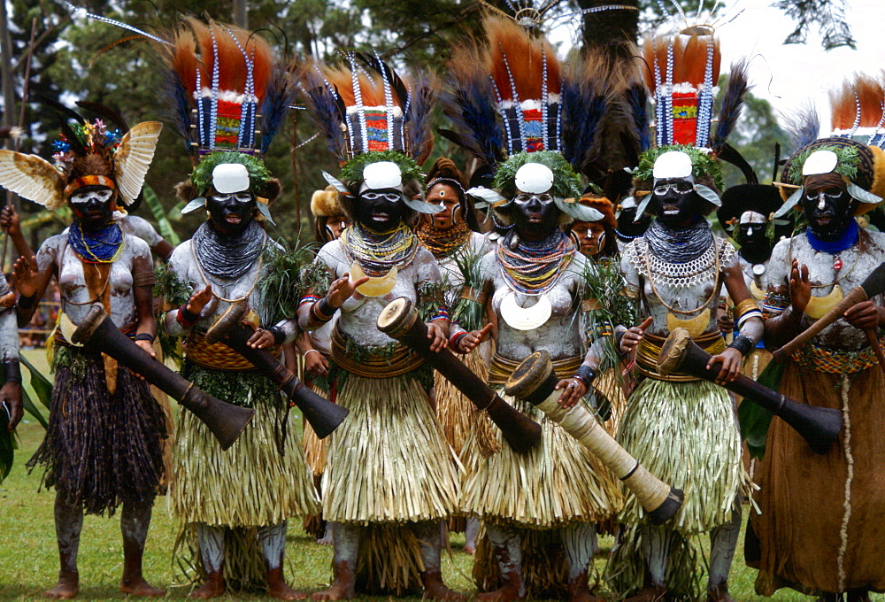 Tribeswomen musicians in feathered headdresses grass skirts and face paints playing drums during  a gathering of tribes at Mount Hagen in Papua New Guinea