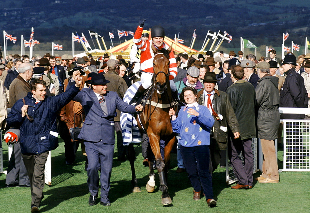 Winner being led to Winner's Enclosure at Cheltenham Racecourse for the National Hunt Festival of Racing, UK