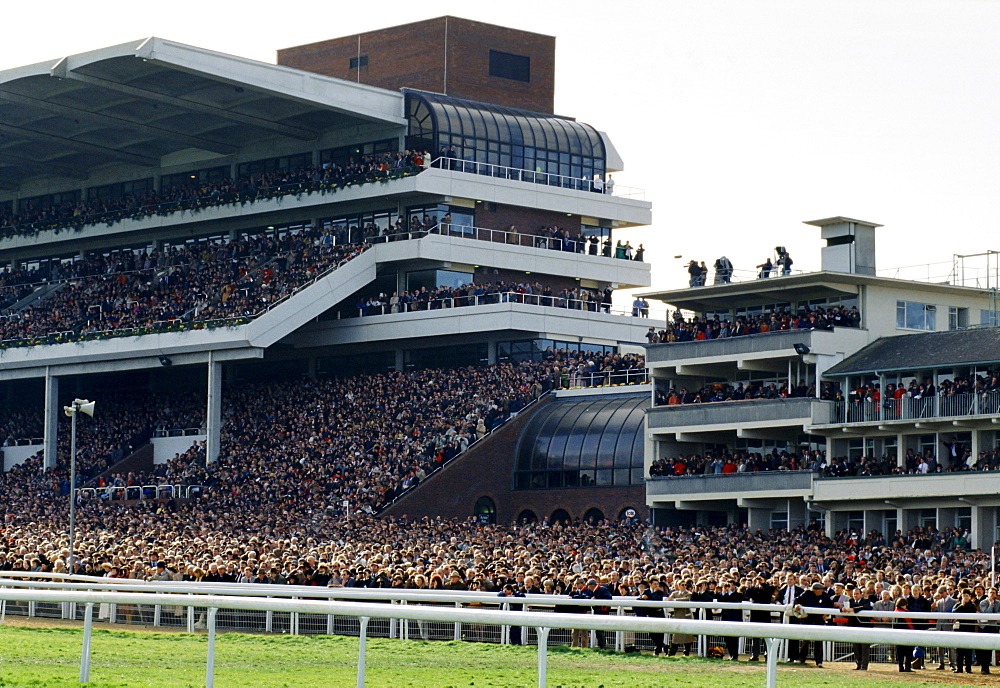 Waiting for the big race. Spectactors in the grandstand at Cheltenham Racecourse for the National Hunt Festival of Racing, UK