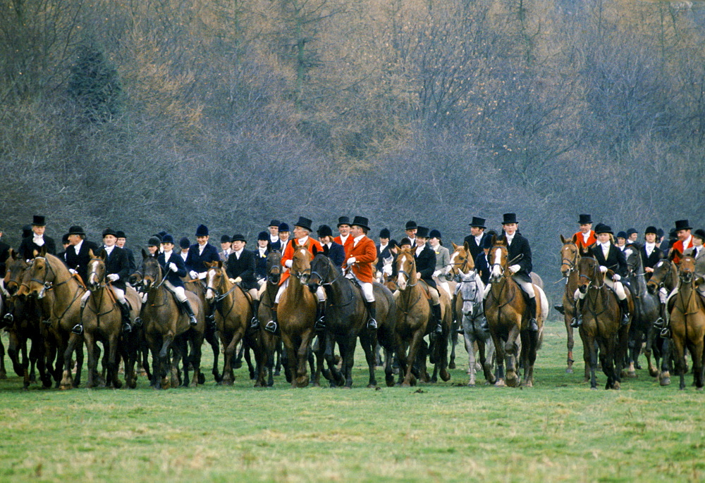 The field of the Cheshire Hunt with hunt officials wearing traditional pink hunting jackets and top hats, UK