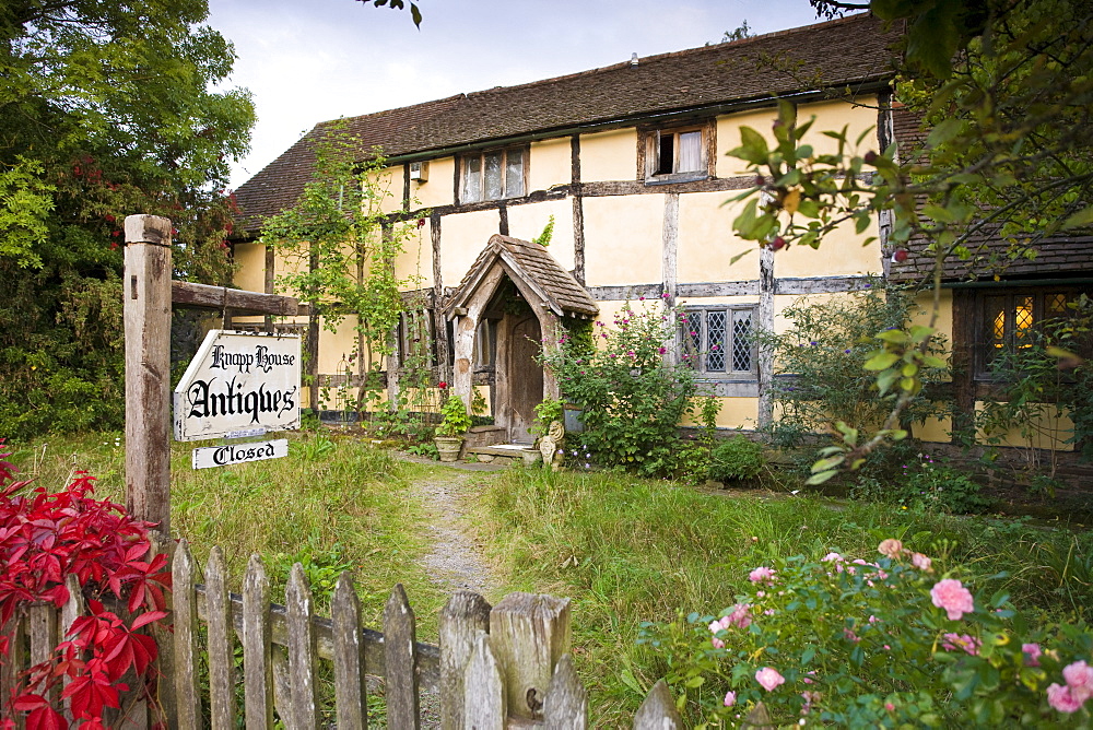 Quaint Tudor style half-timbered cottage now Knapp House antiques shop at Eardisland, Herefordshire, UK