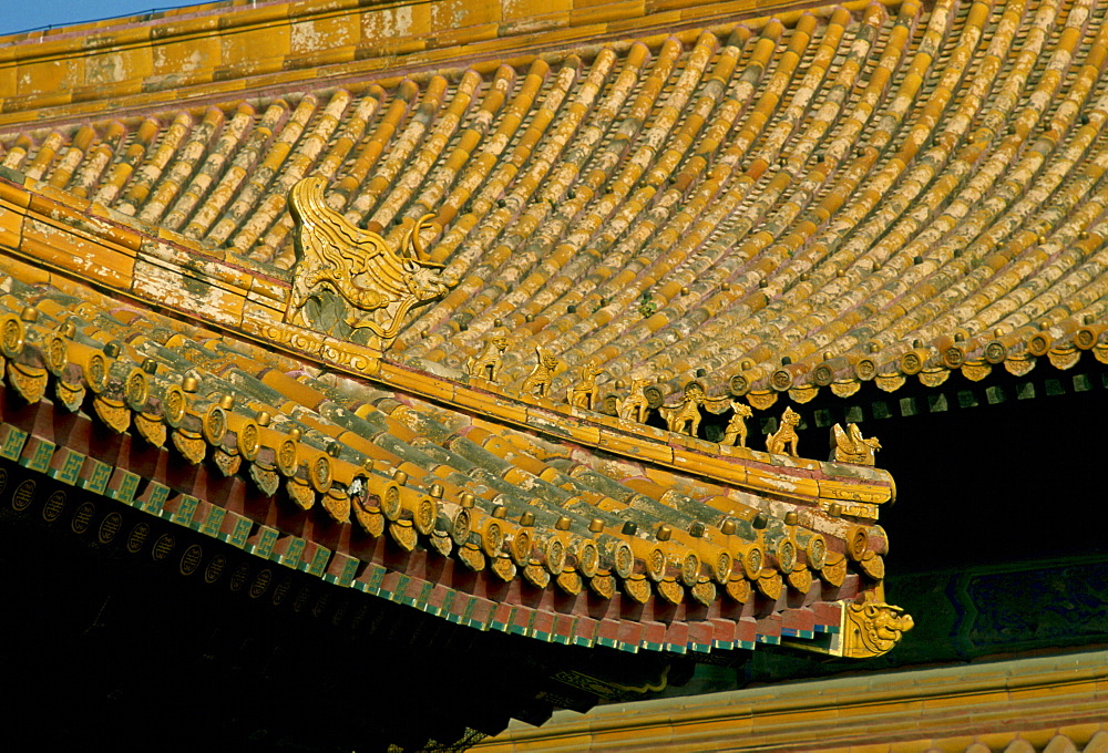 Roof tiles and decoration in Forbidden City, Beijing, China