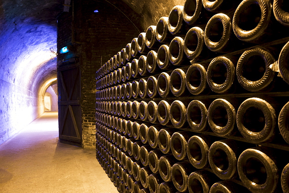 Methuselah bottles stacked and ageing in caves of Champagne Taittinger  in Reims, Champagne-Ardenne, France, Europe