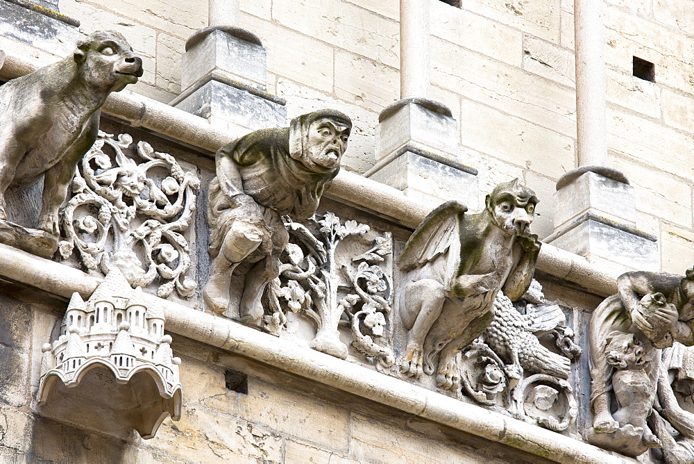 Gargoyles at the Notre Dame Cathedral in Dijon in the Burgundy region, France, Europe