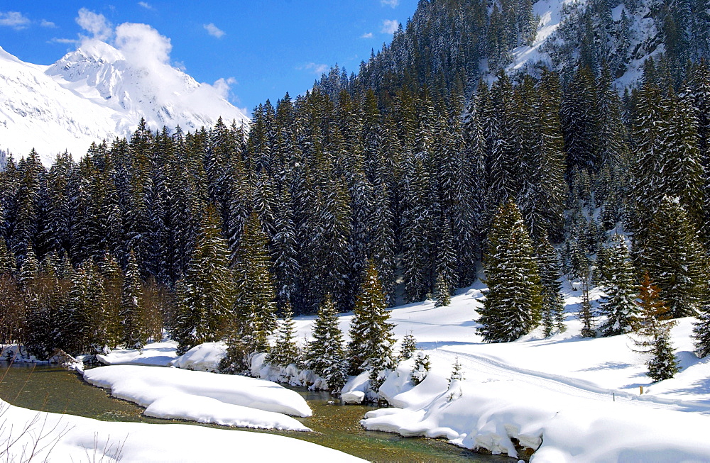 Klosters - Amongst the Silvretta group of the Swiss Alps. Montain stream and conifers.