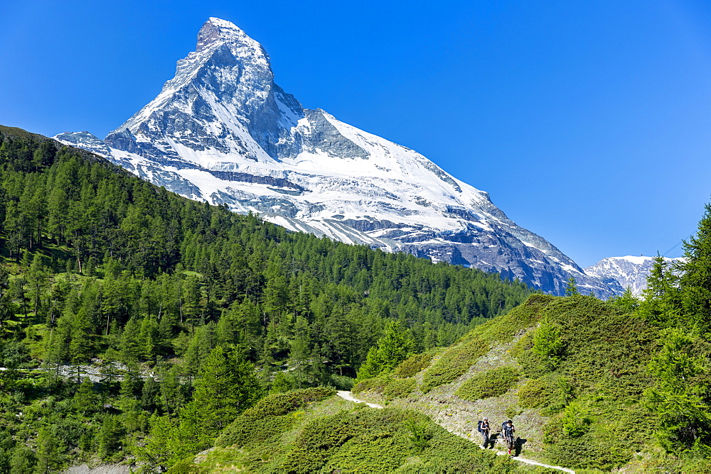 Hikers on walking trail below the Matterhorn mountain in the Swiss Alps near Zermatt, Valais, Switzerland, Europe