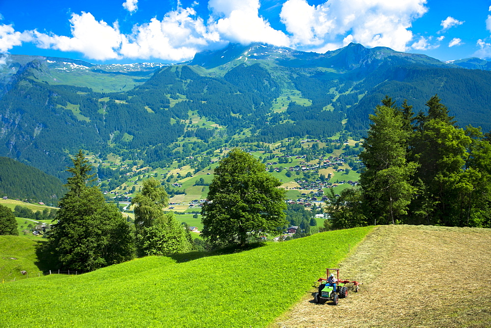 Farmer turning cut hay to dry it at Grindelwald beneath the Eiger mountain in the Swiss Alps in the Bernese Oberland, Switzerland, Europe