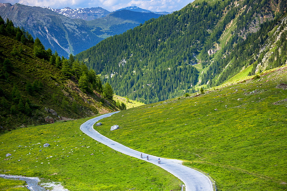 Cyclists on the Umbrail Pass which leads, in the Swiss National Park, from Switzerland to Italy in the Eastern Alps, Switzerland, Europe