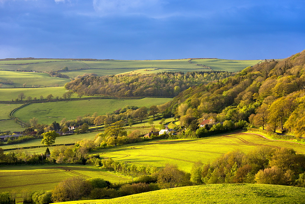 Rolling hills in Exmoor National Park in Somerset, England, United Kingdom, Europe