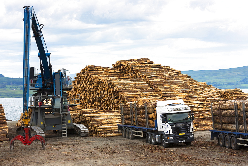 Logging and timber production and transportation at Craignure on the Isle of Mull, Inner Hebrides, Scotland, United Kingdom, Europe