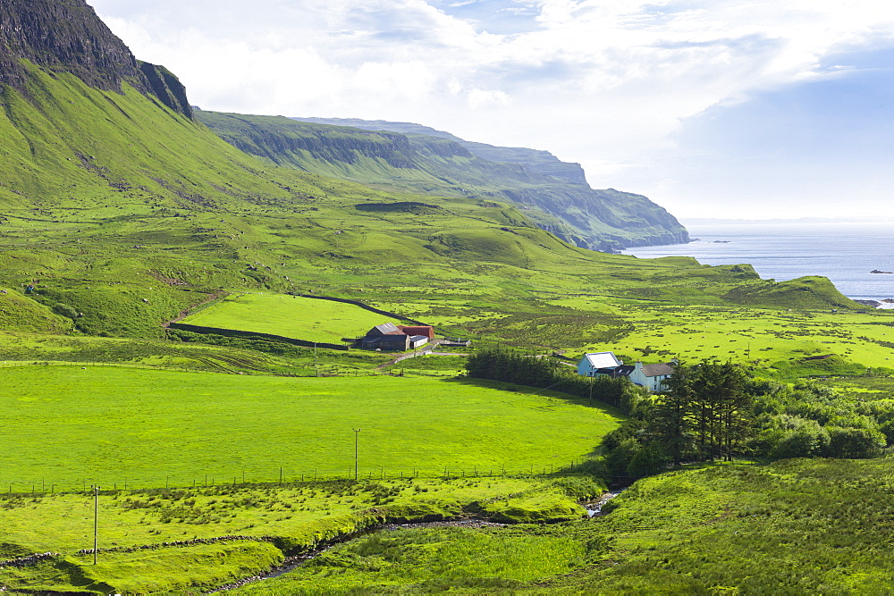 Traditional Scottish farm and farmhouse by sea loch on Isle of Mull in the Inner Hebrides and Western Isles, Scotland, United Kingdom, Europe