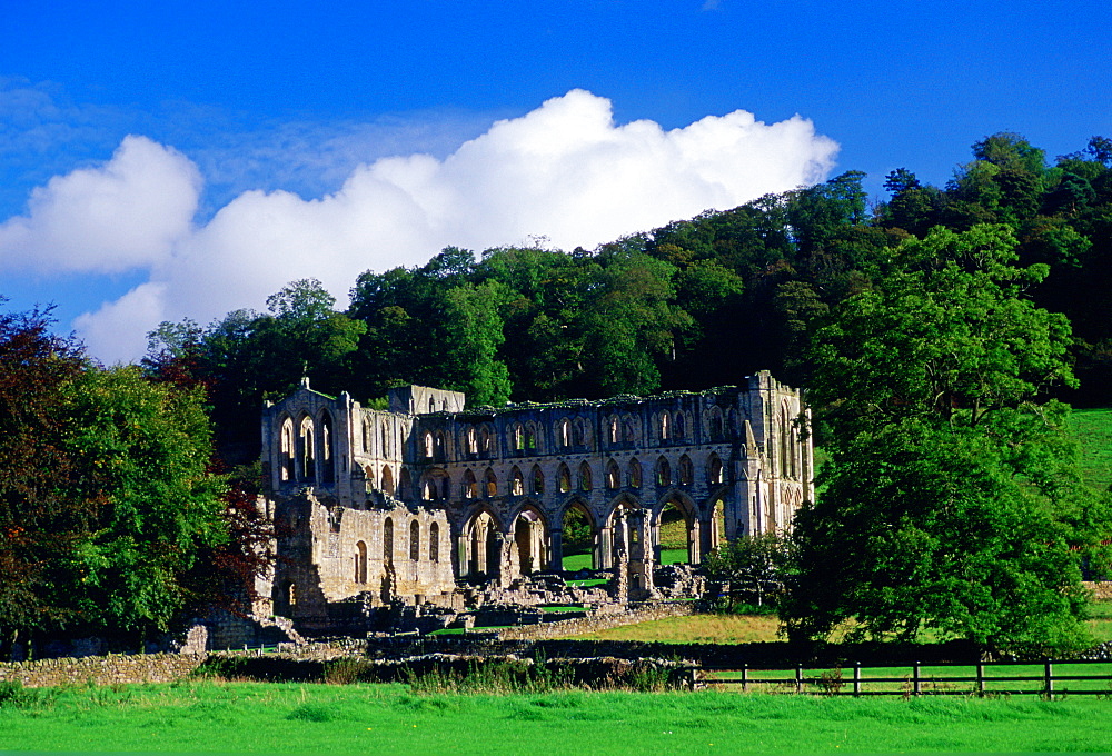 Ruins of Rievaulx Abbey, a 12th Century Abbey  founded by Cistercian monks in North Yorkshire in the Valley of the River Rye, England