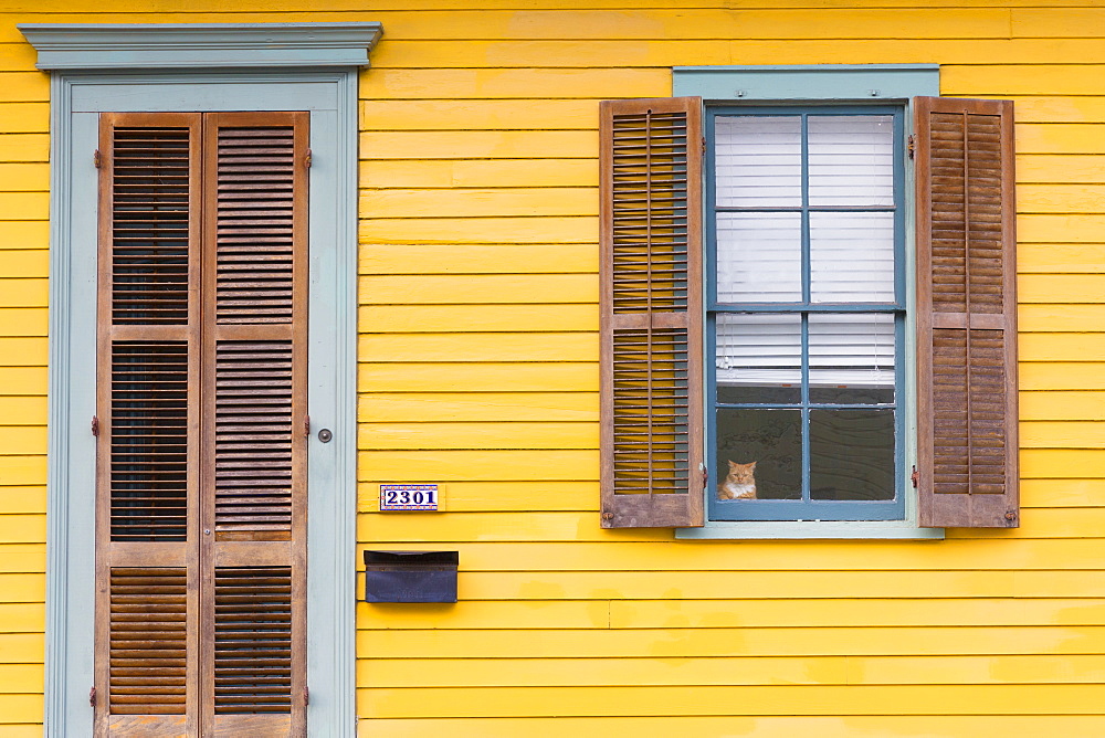 Cat at window of clapboard creole cottage home in Faubourg Marigny historic district  of New Orleans, USA