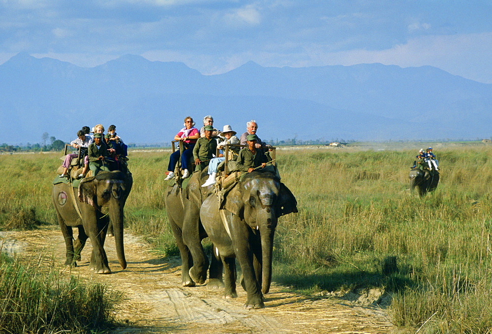 Tourists on elephants in Royal Chitwan National Park, Nepal