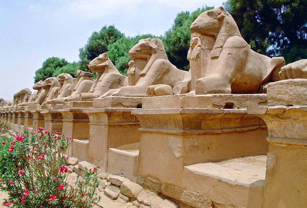 Avenue of the Rams at Karnak Temple in Luxor, Egypt