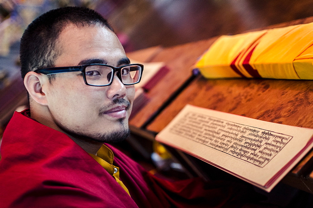 A Buddhist monk reads a volume of Kagyur Rinpoche, Hemja, Nepal, Asia