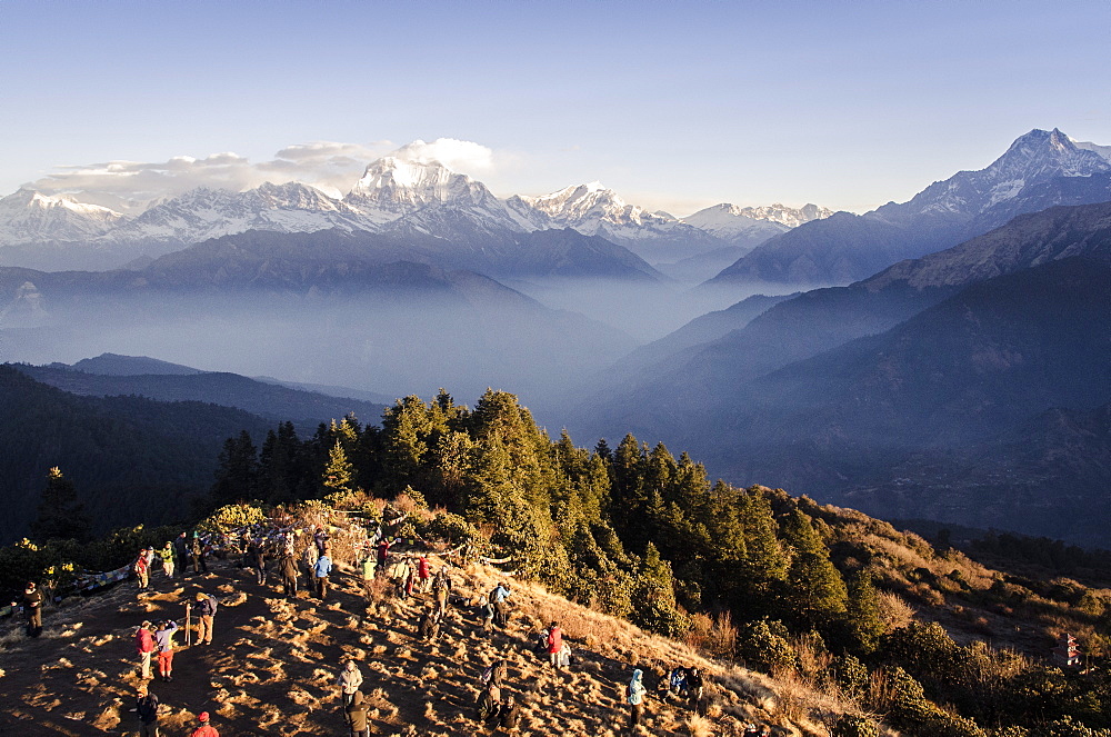 Tourists gather on Poon Hill to watch the sunrise over the Annapurna Himal, with Dhaulagiri, 8167m, Dhampus Peak, 6012m, and Tukuche Peak, 6920m and Nilgiri, 7061m, visible in the background, Annapurna Conservation Area, Nepal, Himalayas, Asia 