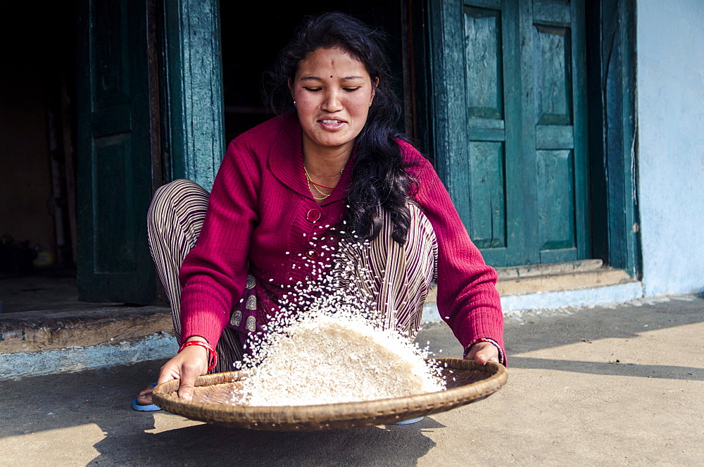 A woman sifts rice to remove stones, Mulkharka, Nepal, Asia