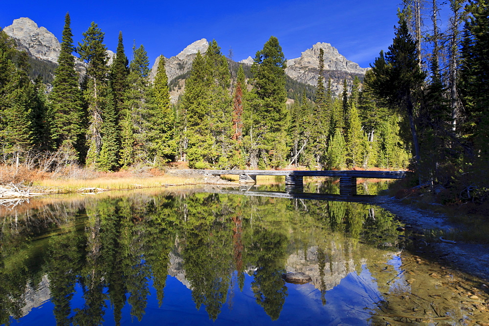 Teton Range, footbridge and pines with reflections, Bradley Lake, Grand Teton National Park, Wyoming, United States of America, North America 