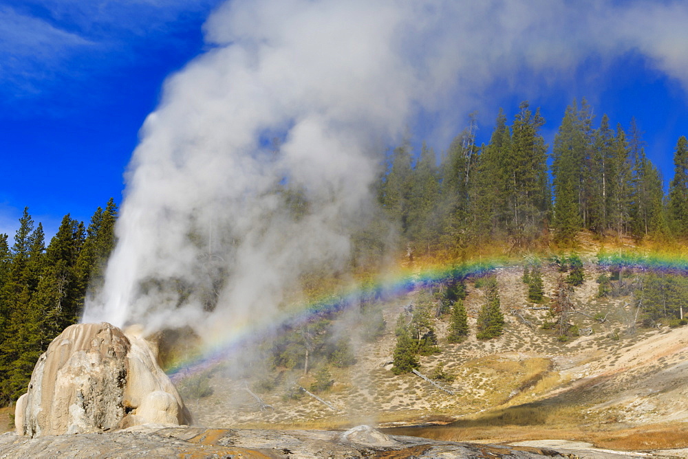 Lone Star Geyser erupts and creates rainbow, Yellowstone National Park, UNESCO World Heritage Site, Wyoming, United States of America, North America 