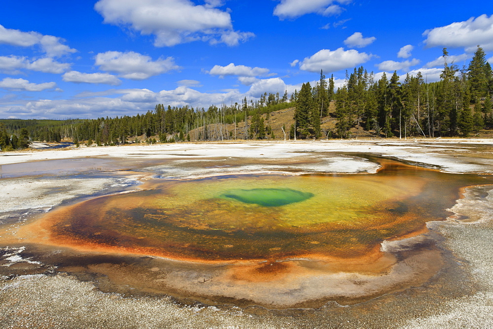 Beauty Pool, Upper Geyser Basin, Yellowstone National Park, UNESCO World Heritage Site, Wyoming, United States of America, North America 