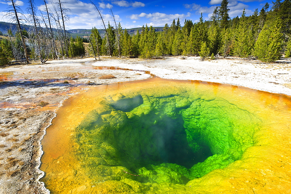 Morning Glory Pool and surrounds, Yellowstone National Park, UNESCO World Heritage Site, Wyoming, United States of America, North America