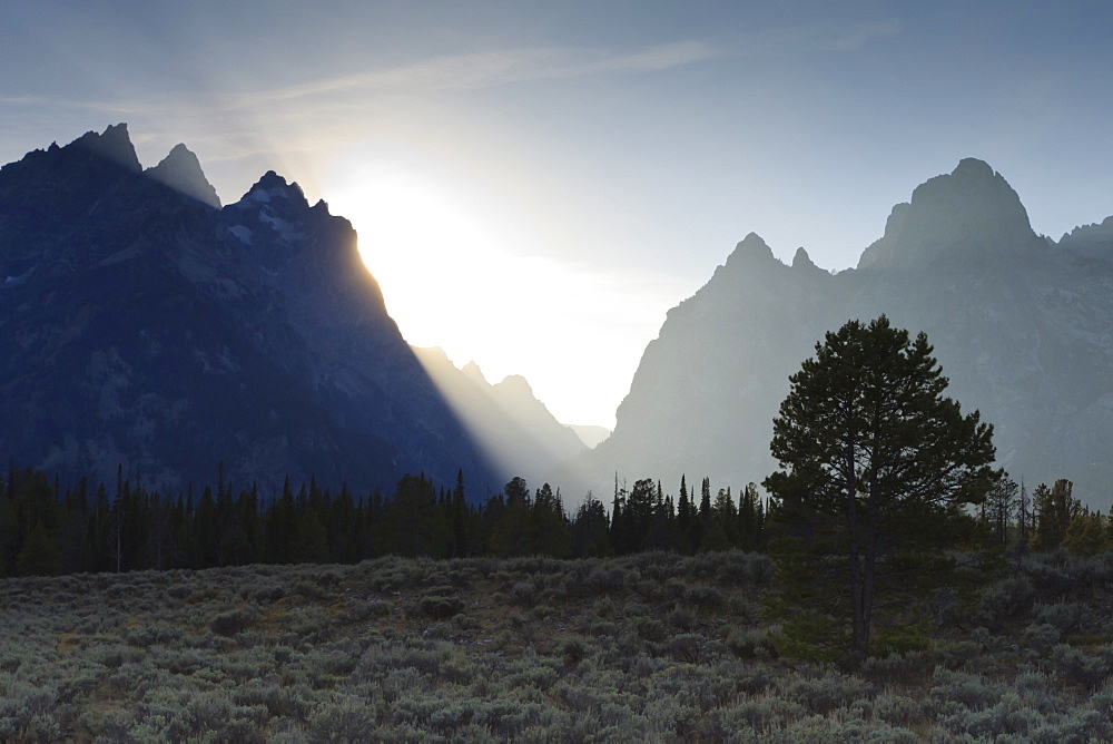 View down Cascade Canyon with backlit Teton Range, Grand Teton National Park, Wyoming, United States of America, North America 