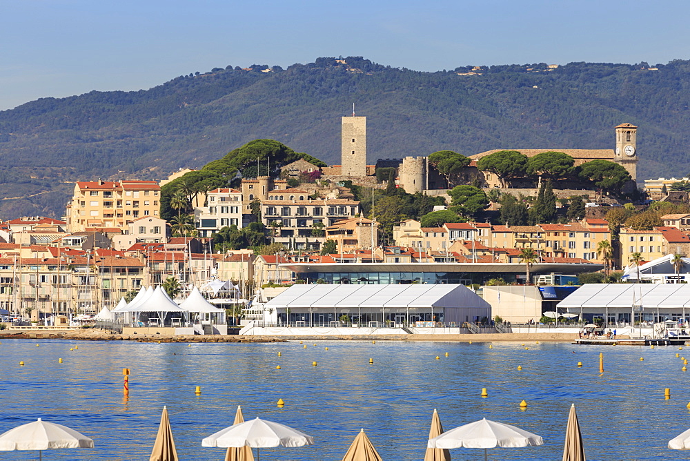 Le Suquet, from La Croisette, Cannes, Cote d'Azur, French Riviera, Alpes Maritimes, Provence, France, Mediterranean, Europe