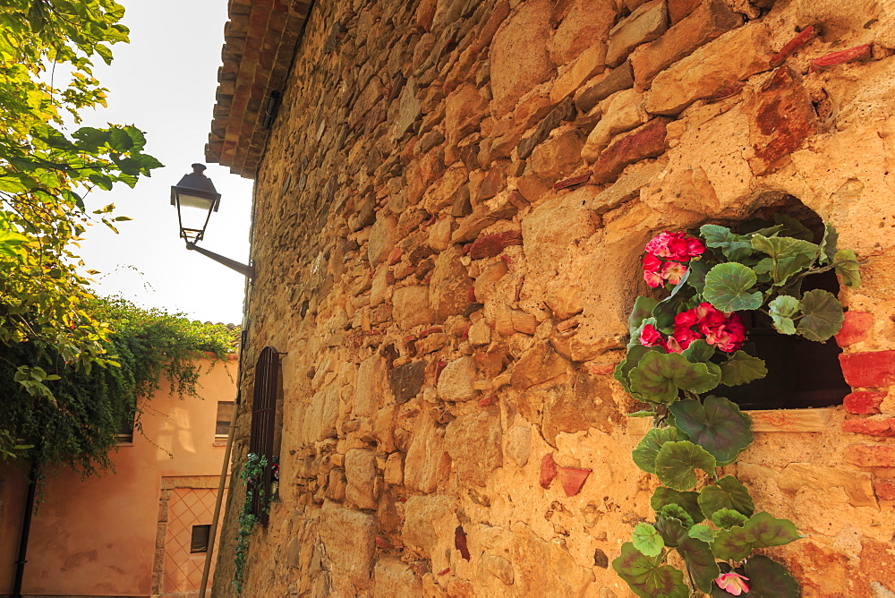 Gorgeous medieval village, geranium with pink flowers in old stone wall, Peratallada, Baix Emporda, Girona, Catalonia, Spain, Europe