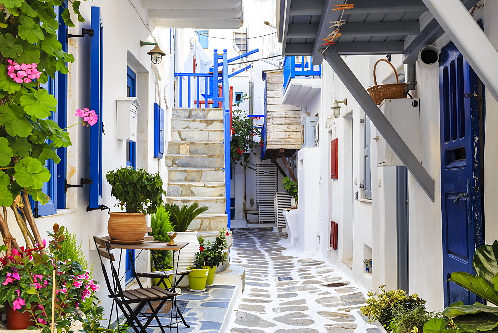 Narrow street, whitewashed buildings with blue paint work, flowers, Mykonos Town (Chora), Mykonos, Cyclades, Greek Islands, Greece, Europe