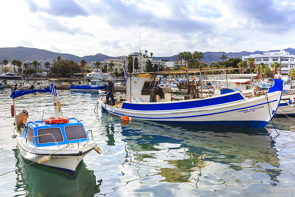 Fishing boats, harbour, Kos Town, Kos, Dodecanese, Greek Islands, Greece, Europe