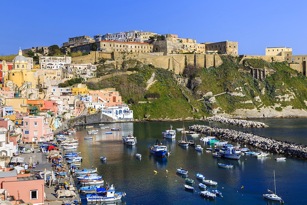 Marina Corricella, pretty fishing village, boats below Terra Murata acropolis fortress, Procida Island, Bay of Naples, Campania, Italy, Europe