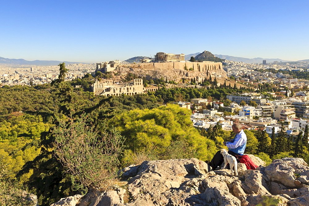 Man with dog reads a book on the Filopappos Hill, with a view to the Parthenon and Acropolis, Athens, Greece, Europe 