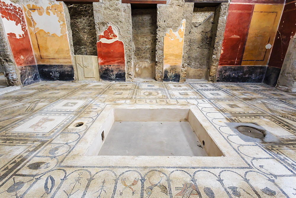 Mosaics, Atrium, House of the Paquius Proculus (House of Cuspius Pansa), Pompeii, UNESCO World Heritage Site, Campania, Italy, Europe