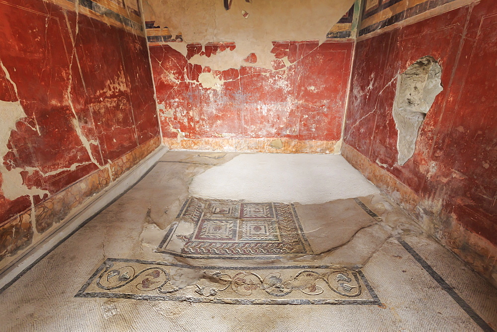 Mosaics, House of the Paquius Proculus (House of Cuspius Pansa), Roman Pompeii, UNESCO World Heritage Site, Campania, Italy, Europe