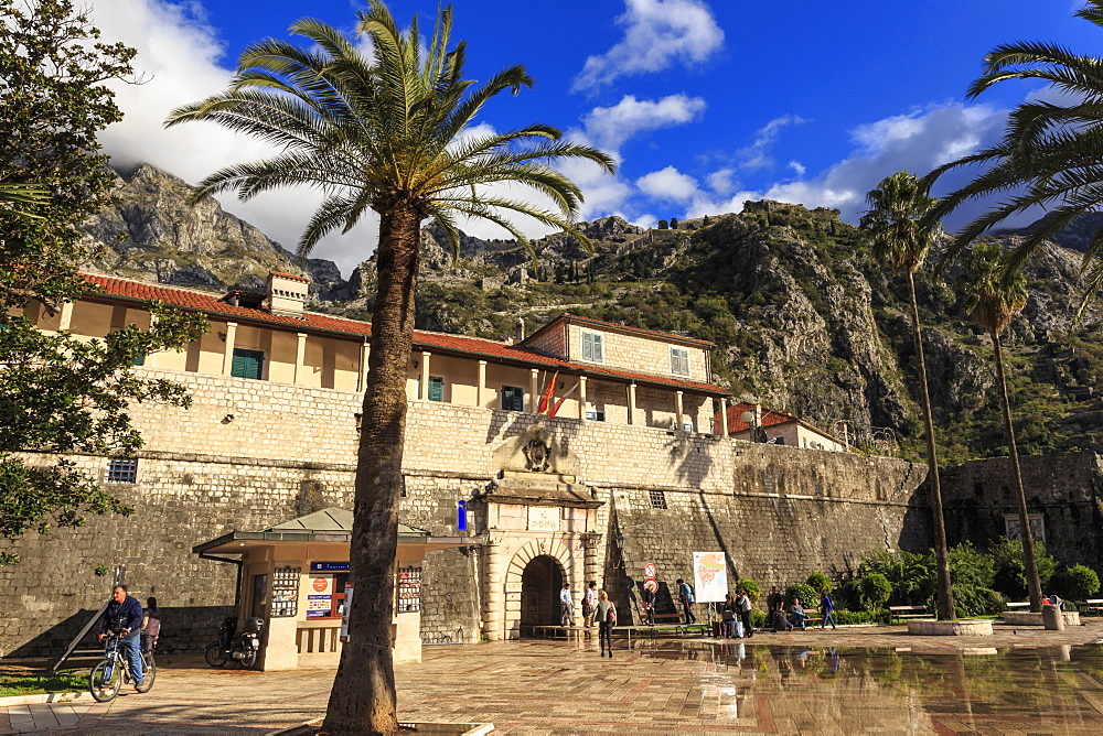 Sea Gate (West Gate), 16th century, old town gate with palm trees, St. John's Hill, Kotor, UNESCO World Heritage Site, Montenegro, Europe