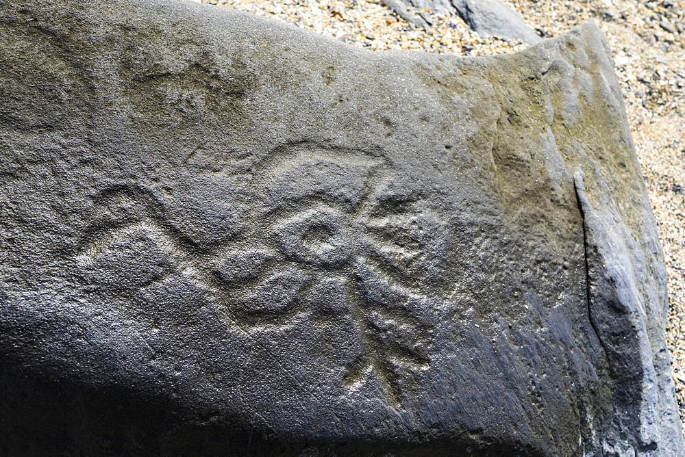 Bird petroglyph, Petroglyph Beach, State Historic Park, archaeological site, Wrangell, pioneer port, Southeast Alaska, United States of America, North America